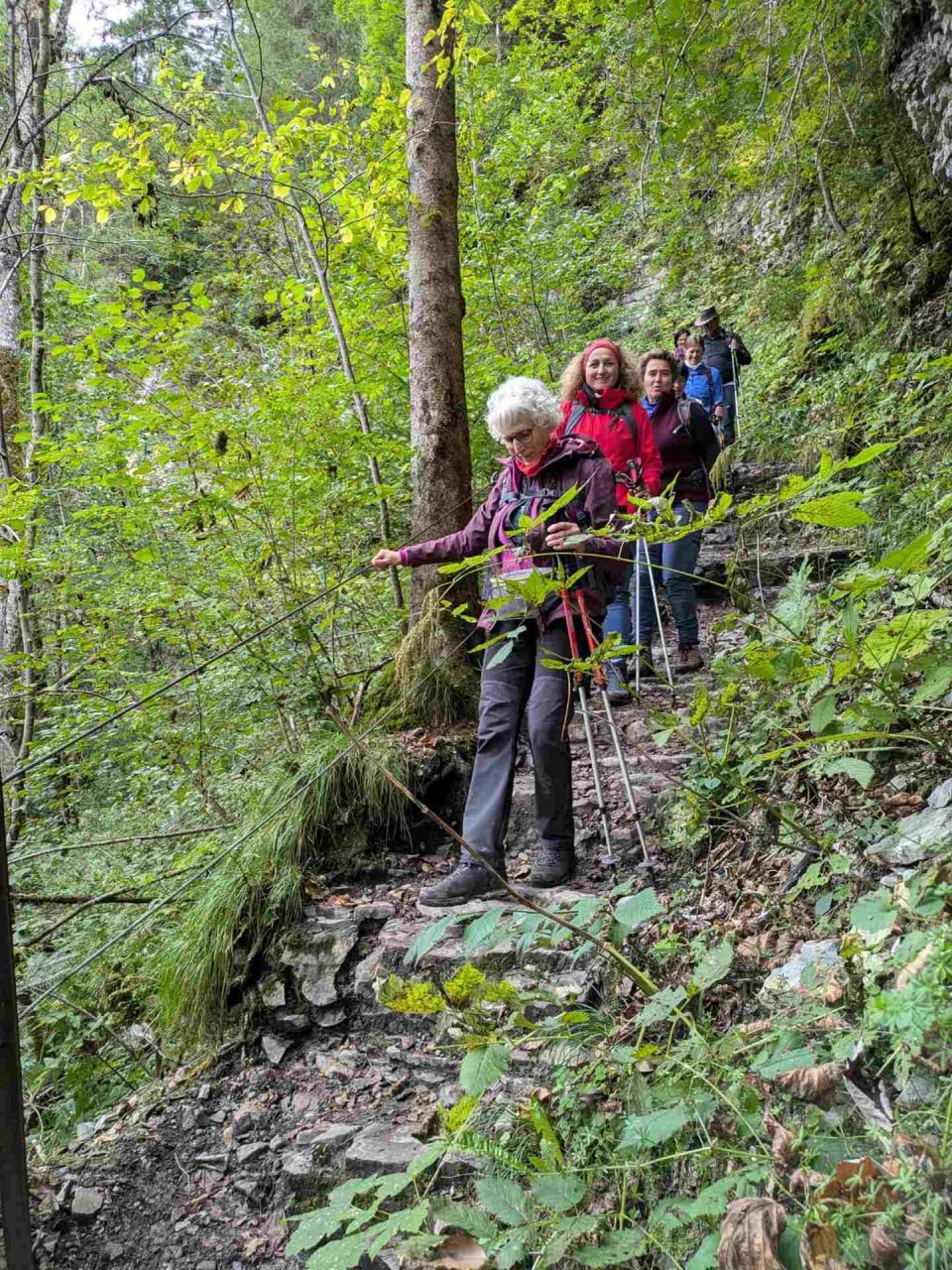 	14 3 Tage auf dem Schluchtensteig im Südschwarzwald